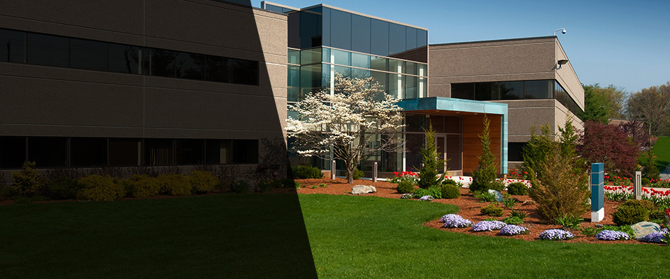 Plaquemine Landscapers