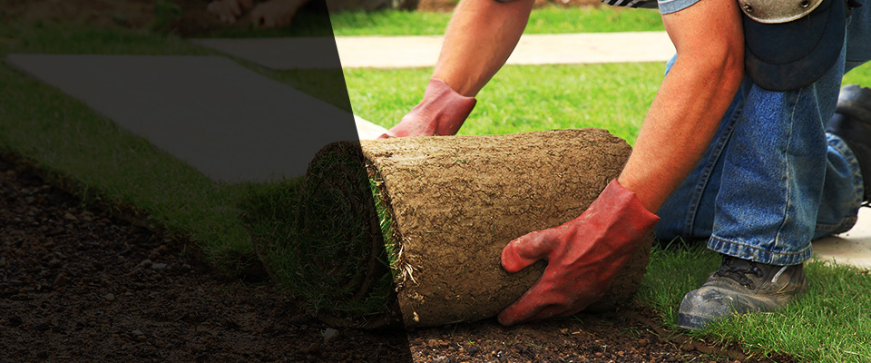 Plaquemine Landscapers